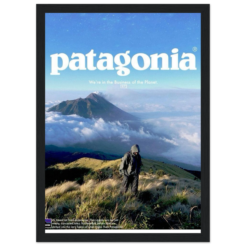 Patagonia We're in the Business of the Planet Vintage Poster Ad