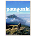 Patagonia We're in the Business of the Planet Vintage Poster Ad