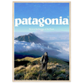 Patagonia We're in the Business of the Planet Vintage Poster Ad