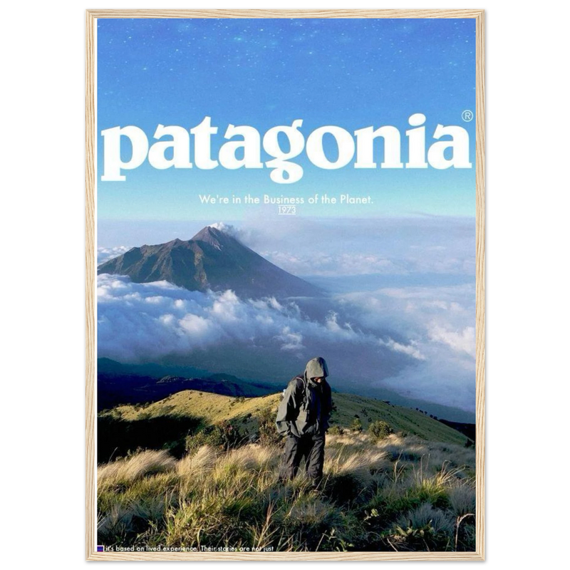 Patagonia We're in the Business of the Planet Vintage Poster Ad