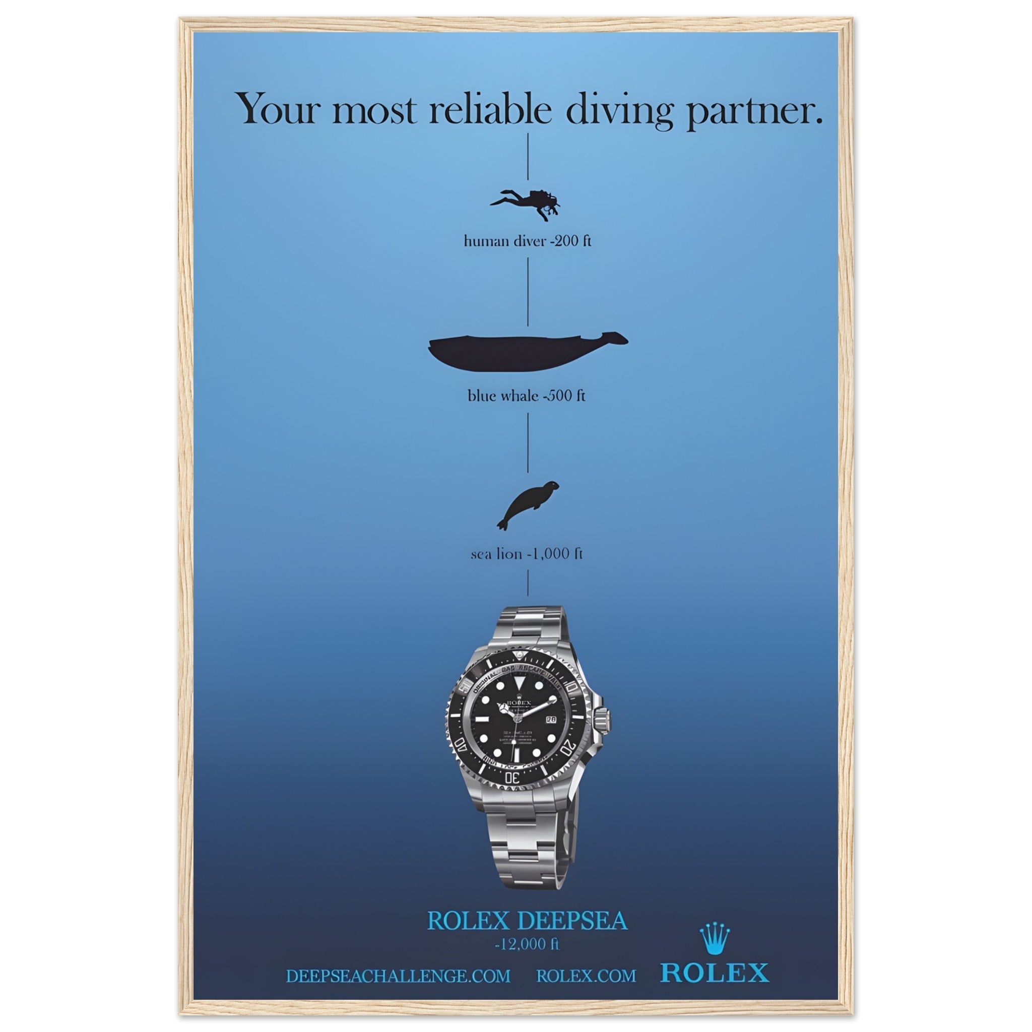 0dd36548-be1f-4213-a1f9-5dca283e7180