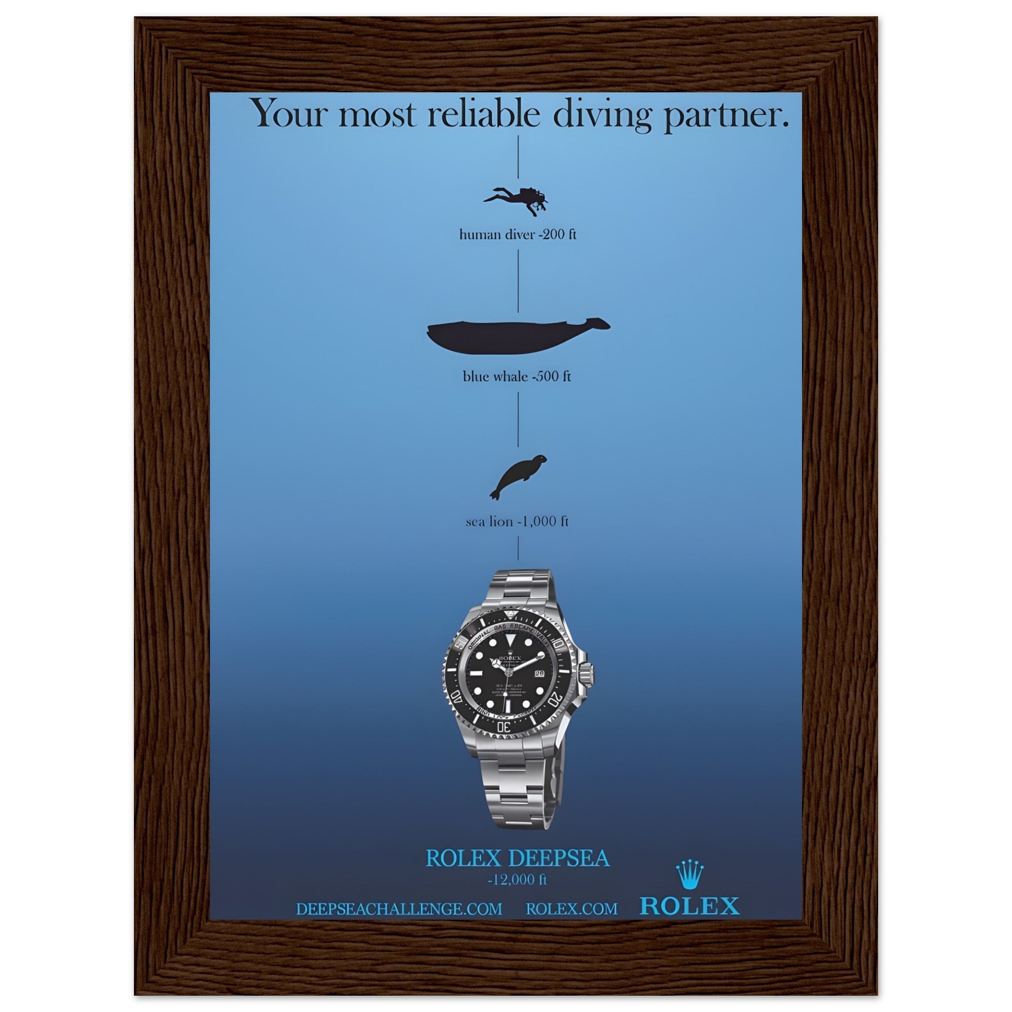 112c8174-f51d-446c-8474-21a6bc5fce91