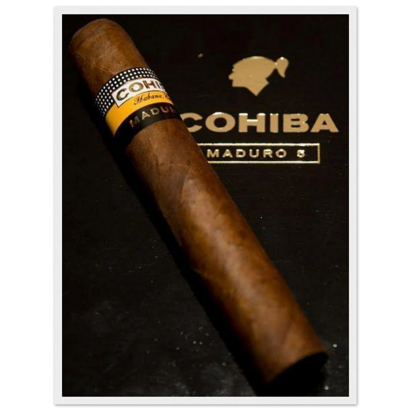 Cohiba Maduro 5 Vintage Cigar Poster