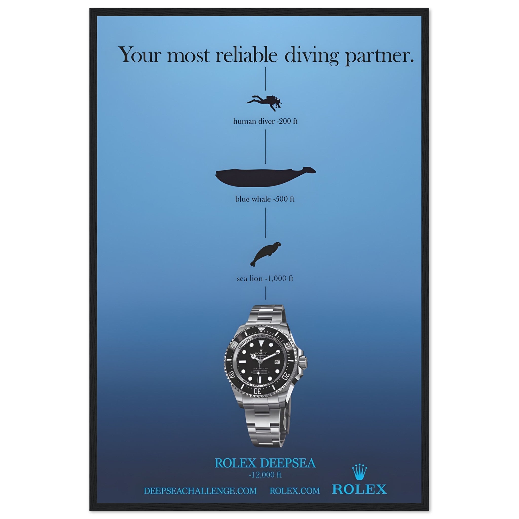 192e7f47-c05a-49f8-81b9-04bca1372c41