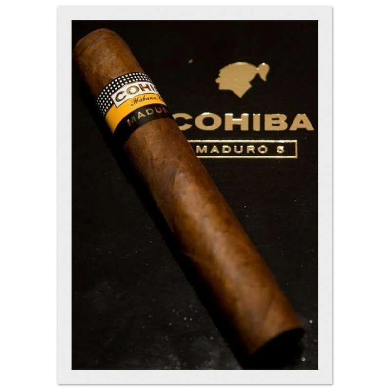 Cohiba Maduro 5 Vintage Cigar Poster