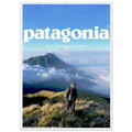 Patagonia We're in the Business of the Planet Vintage Poster Ad