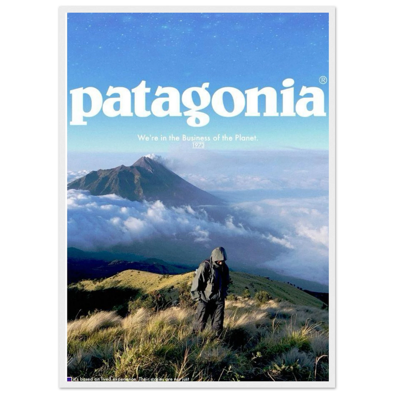 Patagonia We're in the Business of the Planet Vintage Poster Ad