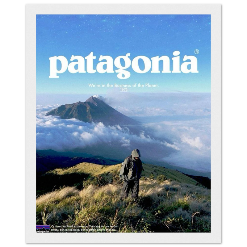 Patagonia We're in the Business of the Planet Vintage Poster Ad