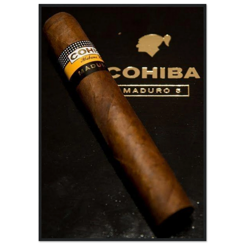 Cohiba Maduro 5 Vintage Cigar Poster