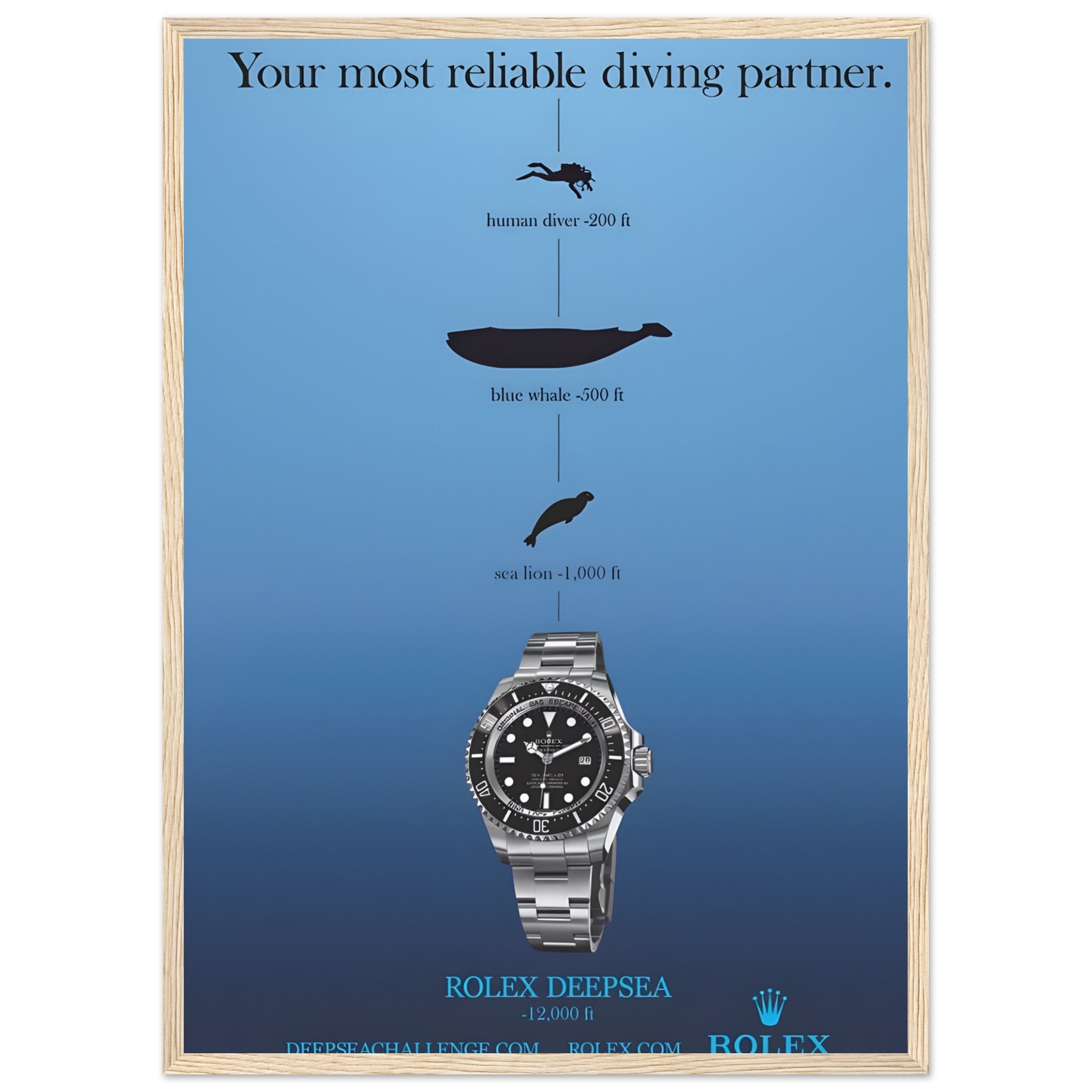 38231abf-0f5d-41ce-8f9d-3cde5dc4702c