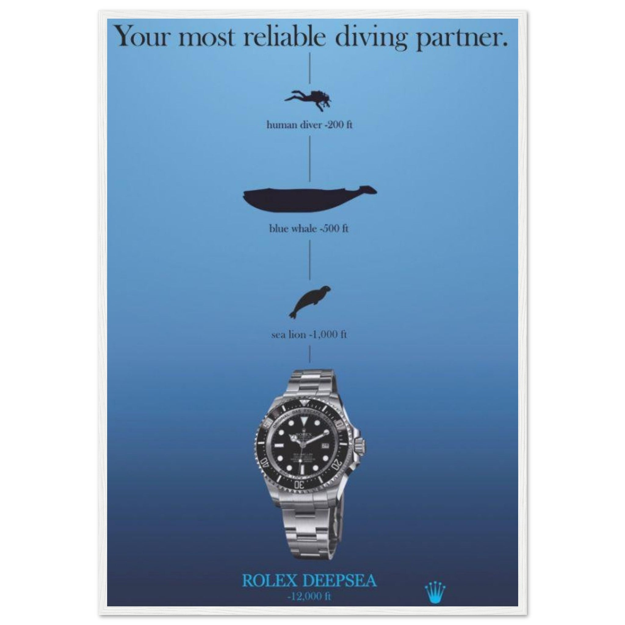 42549289-de83-4f4a-9cdf-addafa351fbd