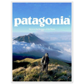 Patagonia We're in the Business of the Planet Vintage Poster Ad