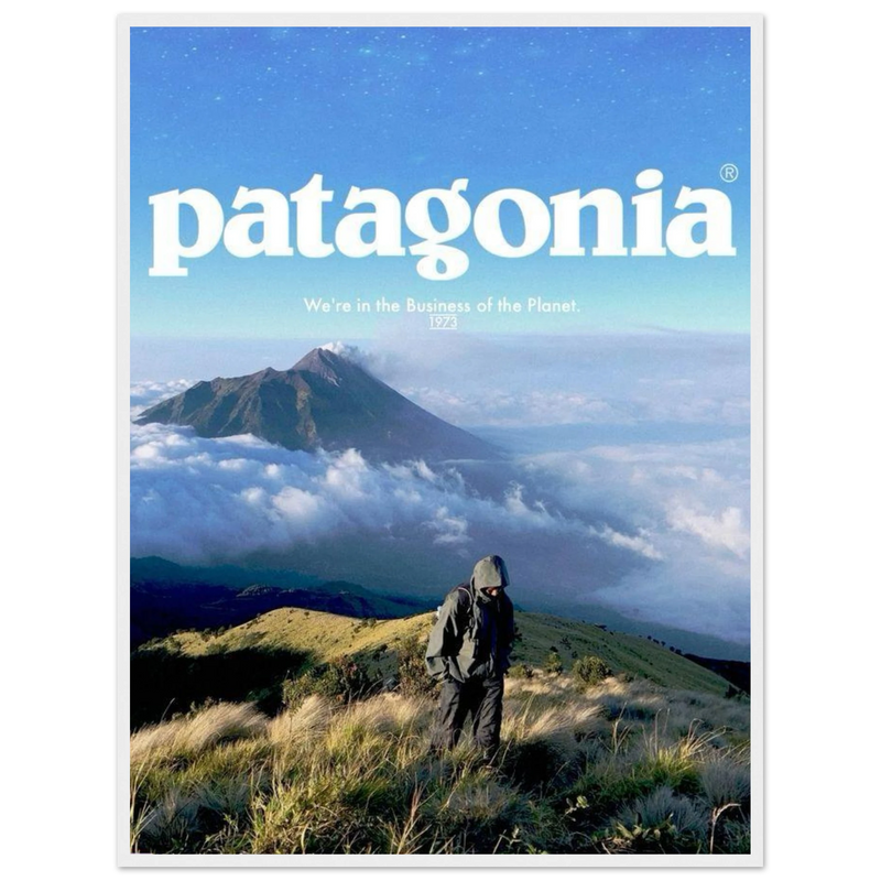 Patagonia We're in the Business of the Planet Vintage Poster Ad