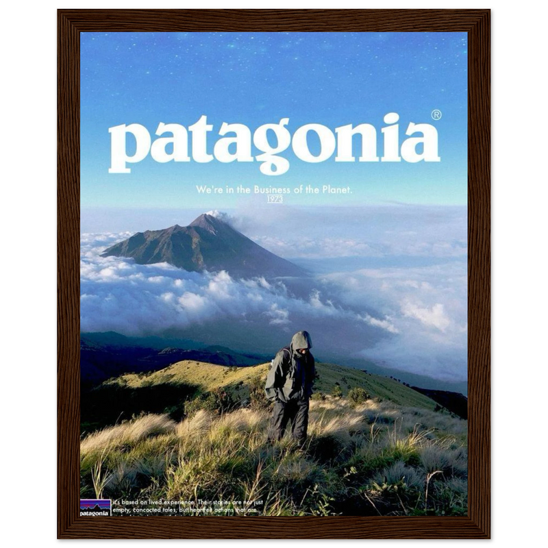 Patagonia We're in the Business of the Planet Vintage Poster Ad