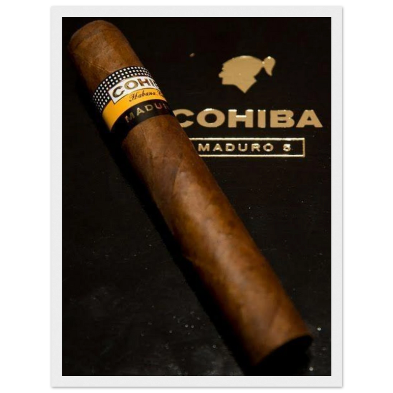 Cohiba Maduro 5 Vintage Cigar Poster