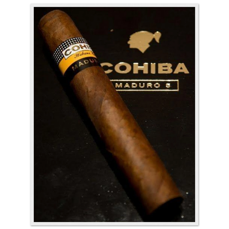 Cohiba Maduro 5 Vintage Cigar Poster
