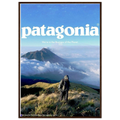 Patagonia We're in the Business of the Planet Vintage Poster Ad