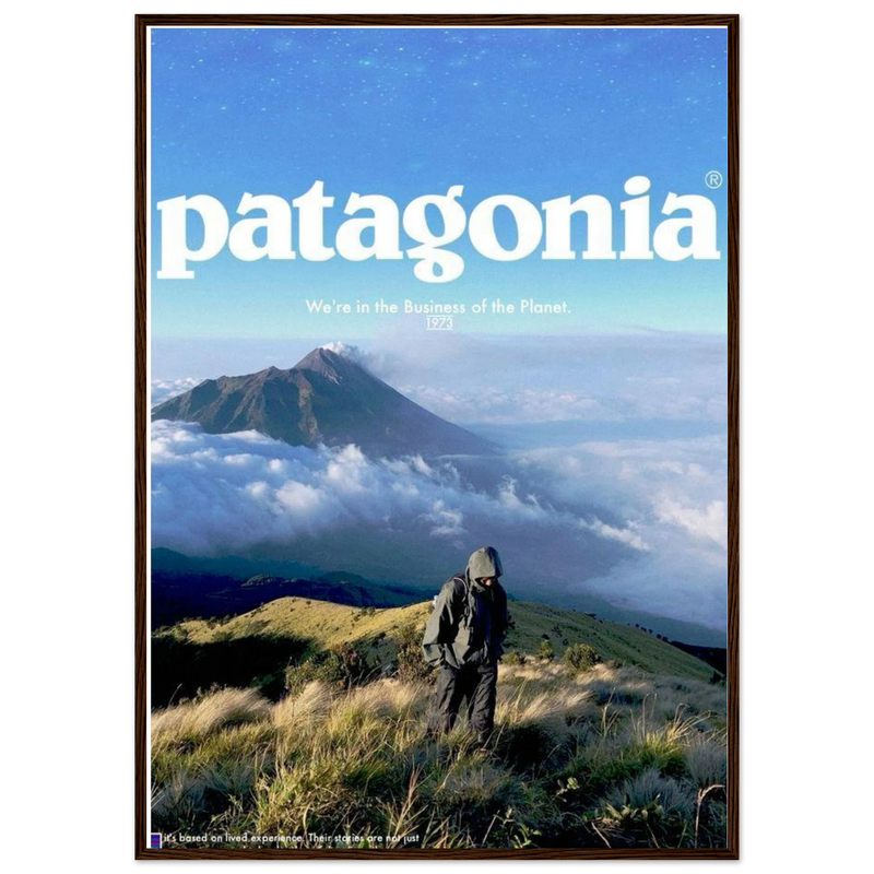 Patagonia We're in the Business of the Planet Vintage Poster Ad