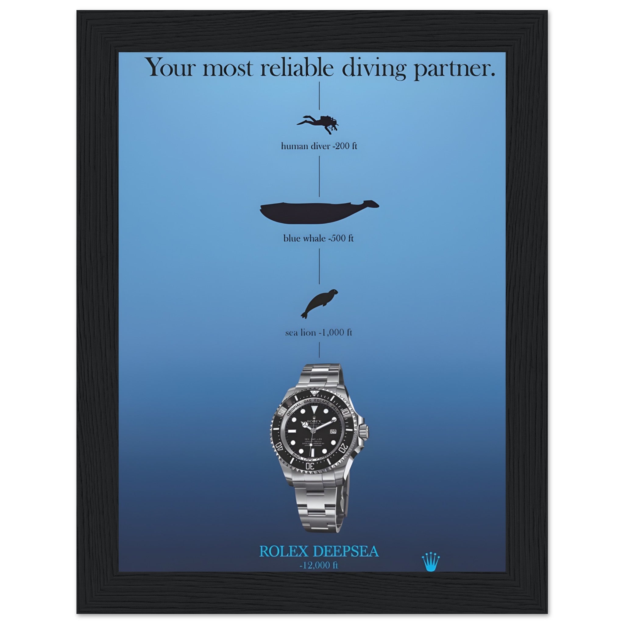 53e182c2-b66d-46ca-a925-c9388def1e15