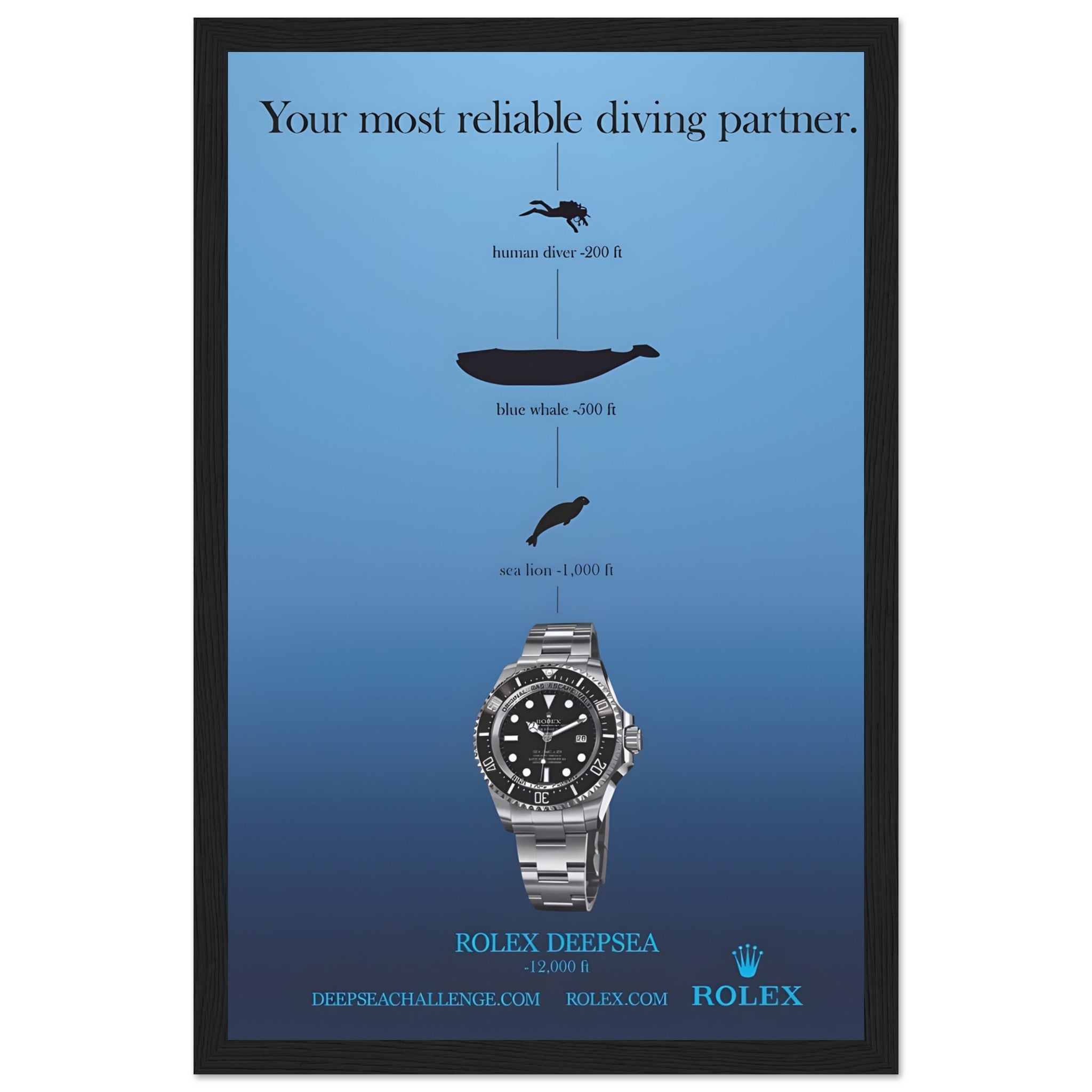 54c40a95-d24c-4265-b1a1-b1ce81fcd27e