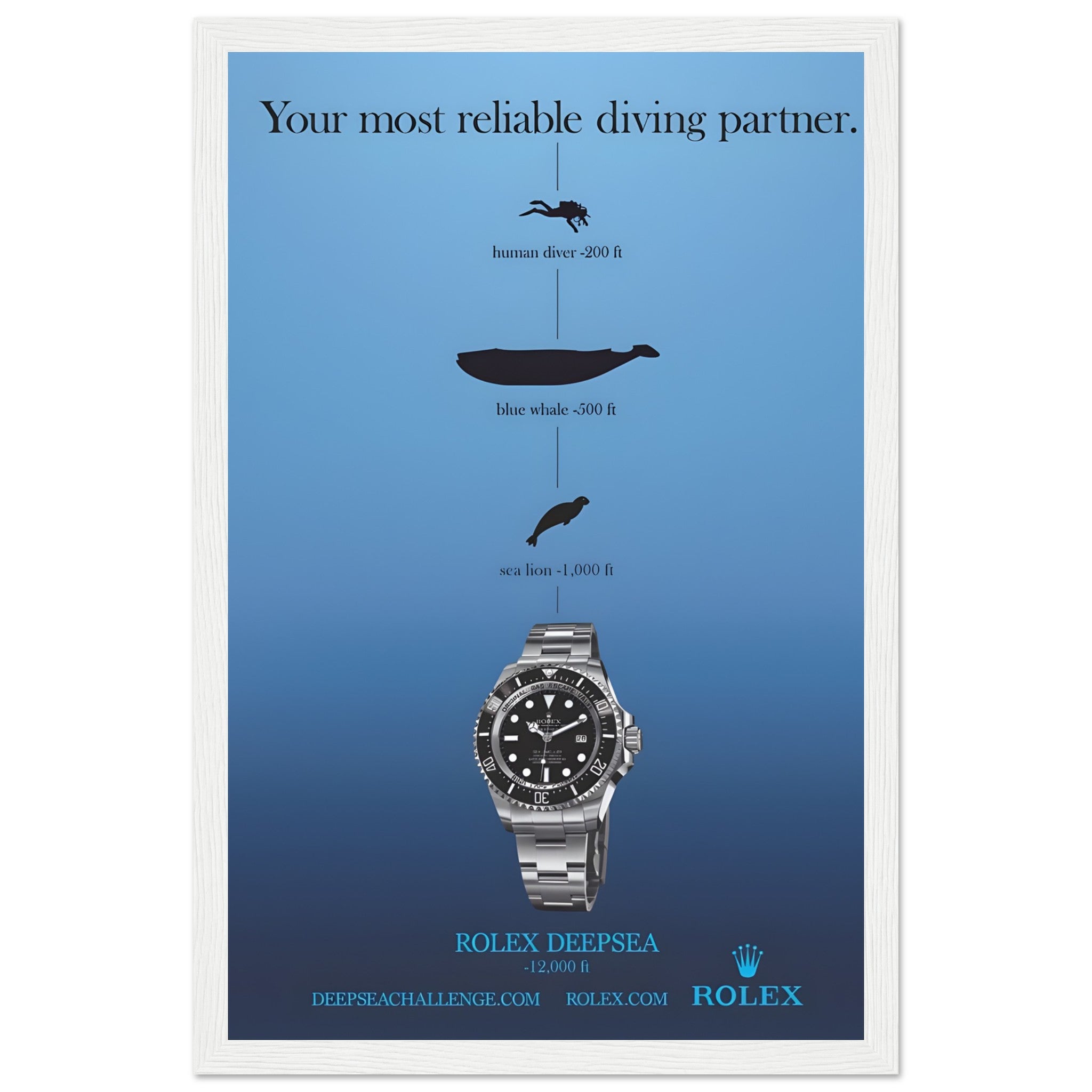 55a4a7cf-9383-4b58-80e4-271c20d223d2