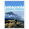Patagonia We're in the Business of the Planet Vintage Poster Ad