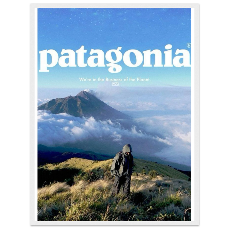 Patagonia We're in the Business of the Planet Vintage Poster Ad