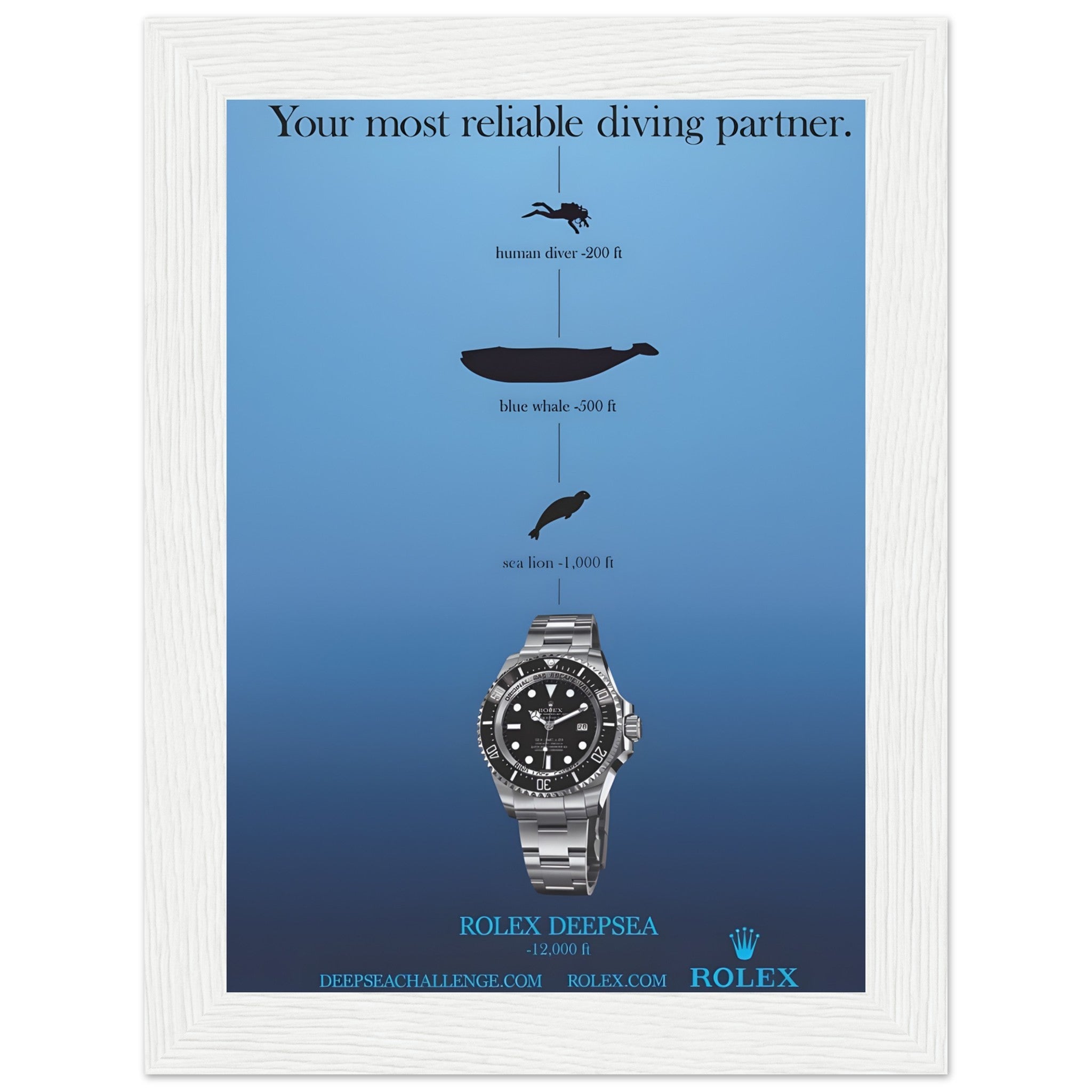 5ae57ef1-0bfc-427f-b4a2-f57485a4626f