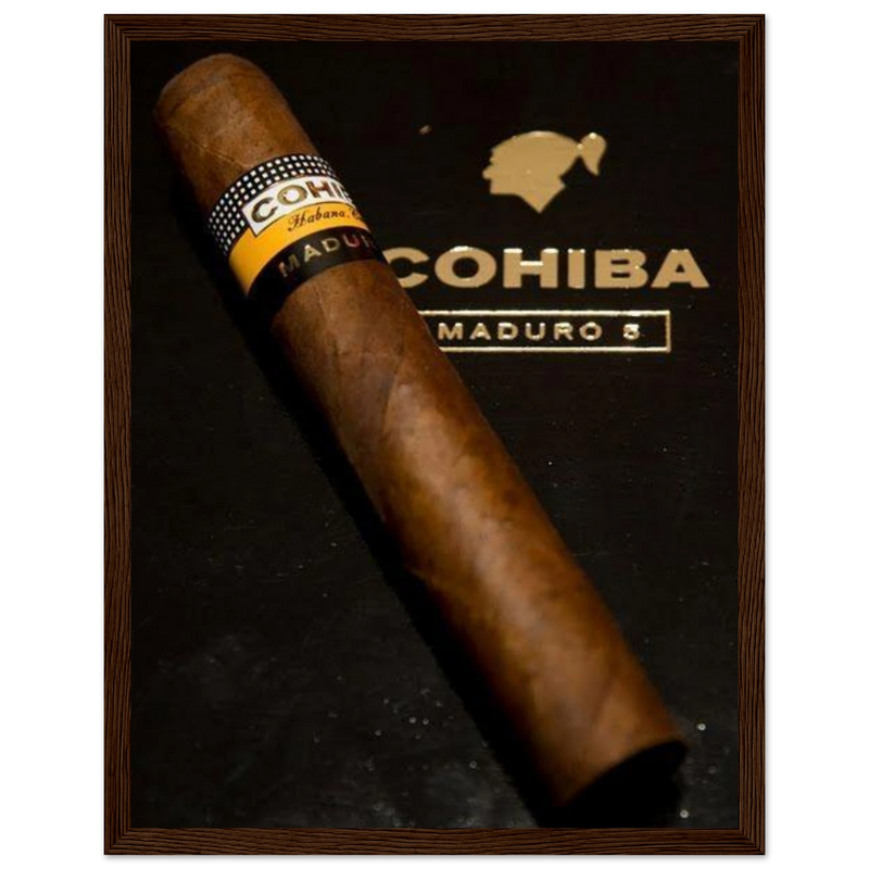 Cohiba Maduro 5 Vintage Cigar Poster