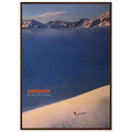 Patagonia Vintage Poster Ad - Winter 1990