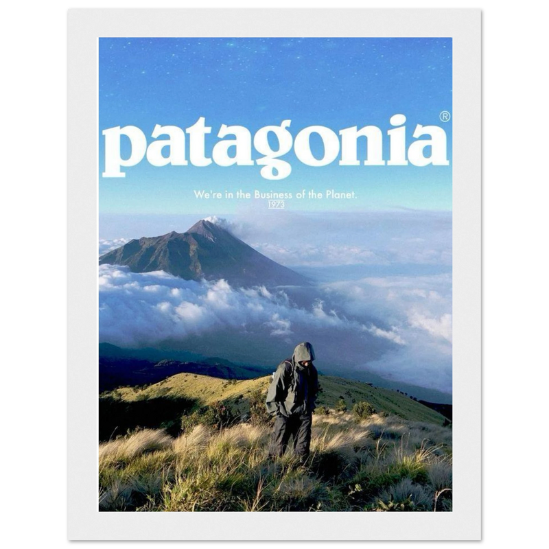 Patagonia We're in the Business of the Planet Vintage Poster Ad