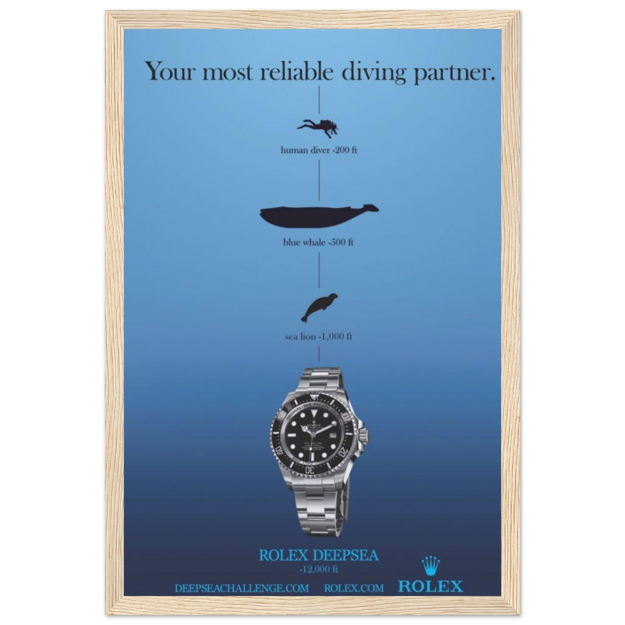 7ac1af8c-105e-43b8-8028-d8406c02c374