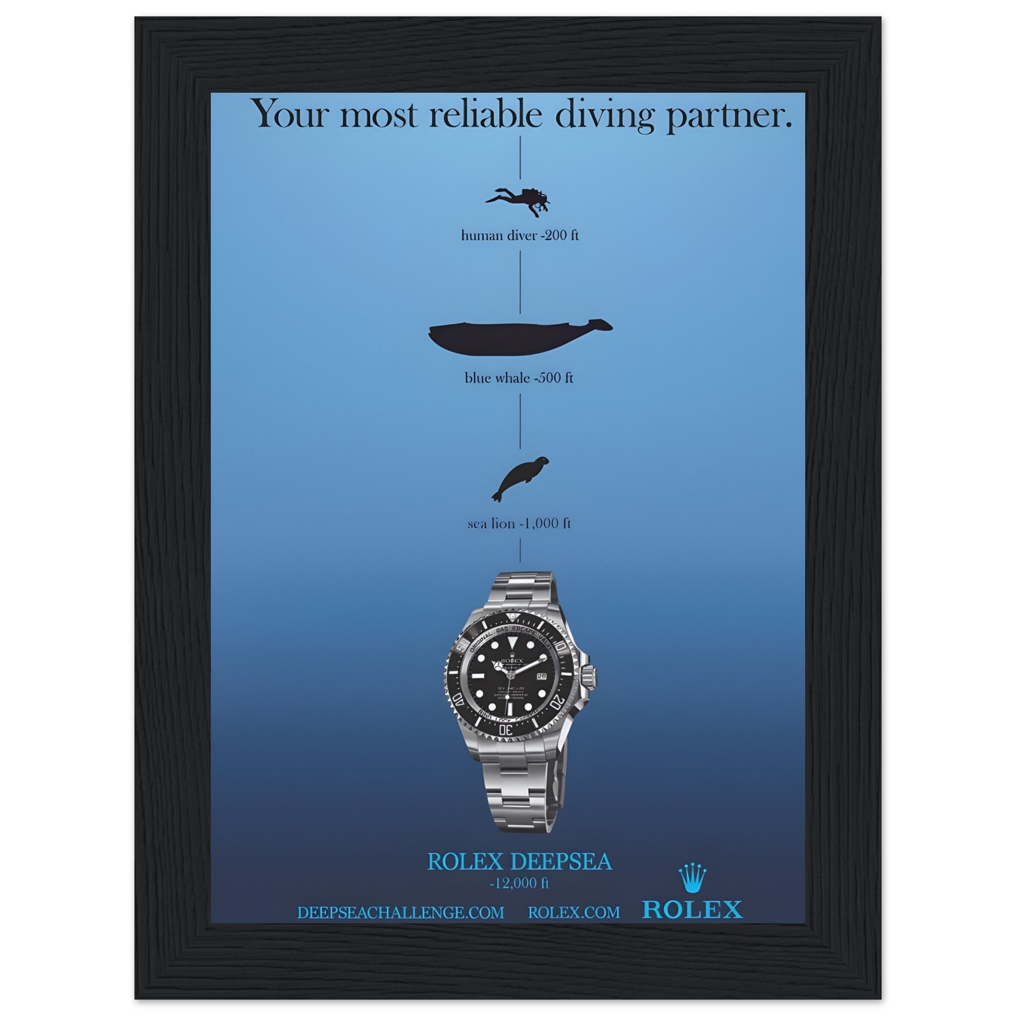 7dbe68be-ebb1-4297-b7ce-2fa38b146950