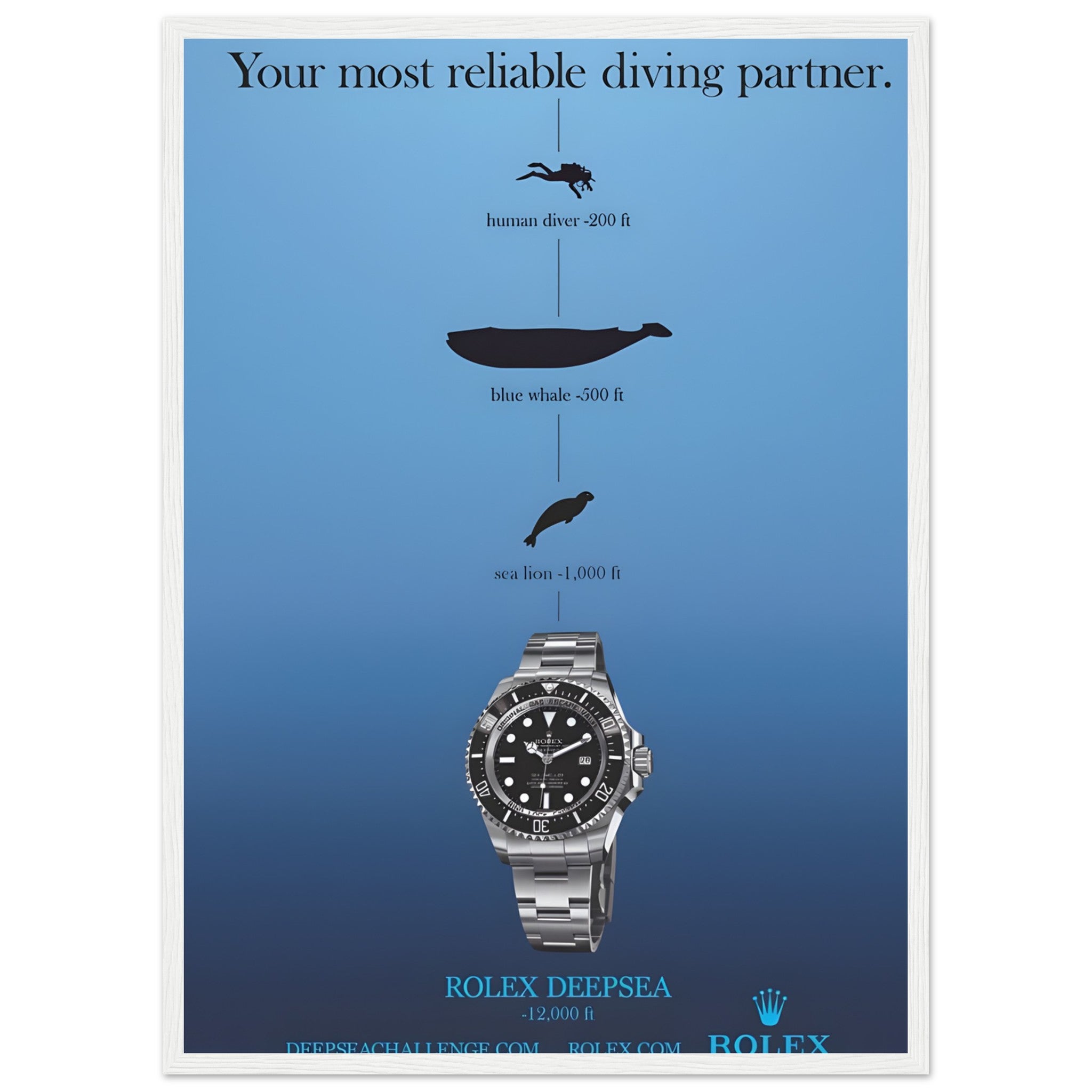 7e5799e4-9ea1-443d-9f24-82ce3acfb71e