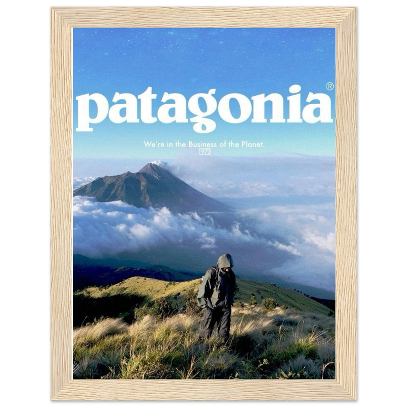 Patagonia We're in the Business of the Planet Vintage Poster Ad