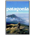 Patagonia We're in the Business of the Planet Vintage Poster Ad
