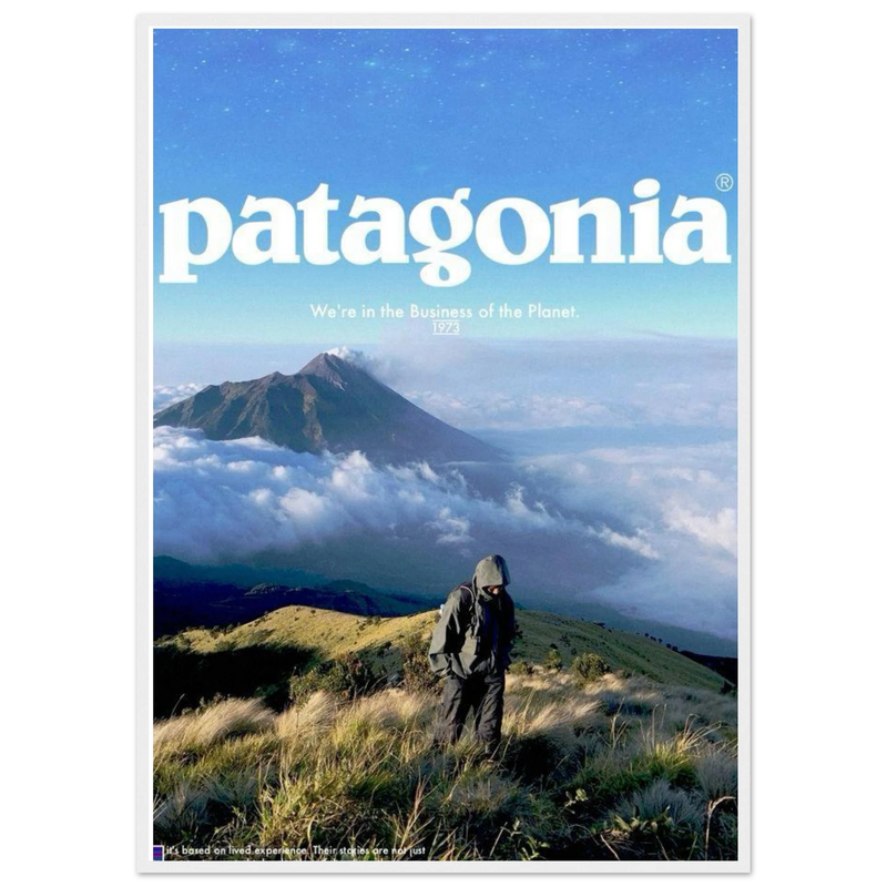 Patagonia We're in the Business of the Planet Vintage Poster Ad
