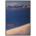 Patagonia Vintage Poster Ad - Winter 1990