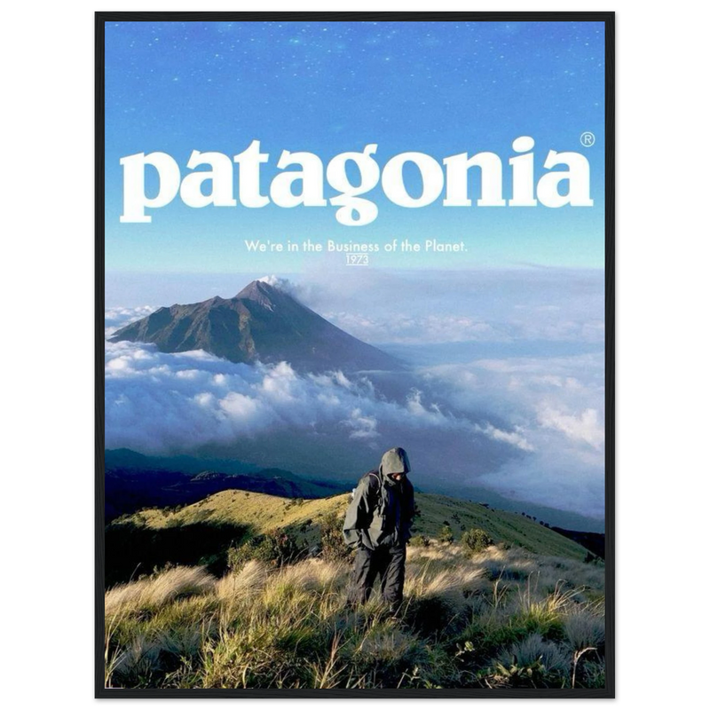 Patagonia We're in the Business of the Planet Vintage Poster Ad