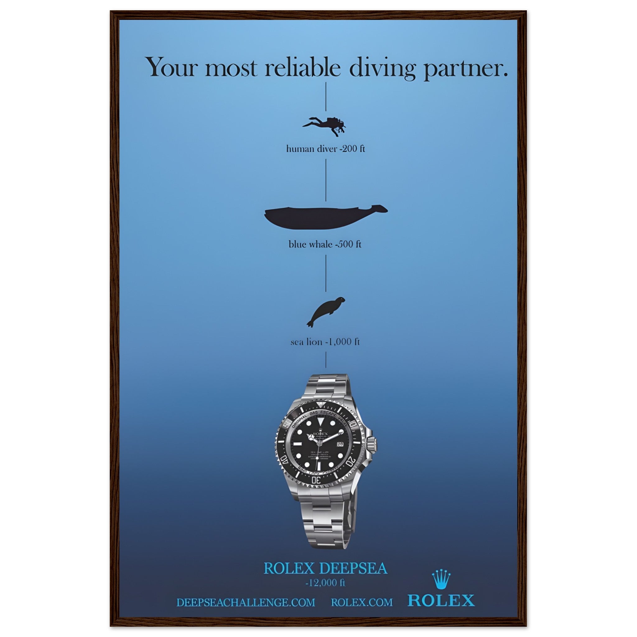 82fd5d43-9443-4c3f-8b70-f80f9a6374e7