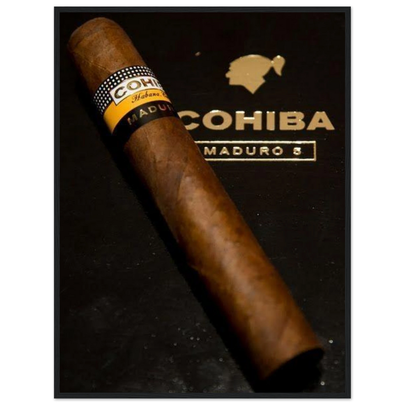 Cohiba Maduro 5 Vintage Cigar Poster