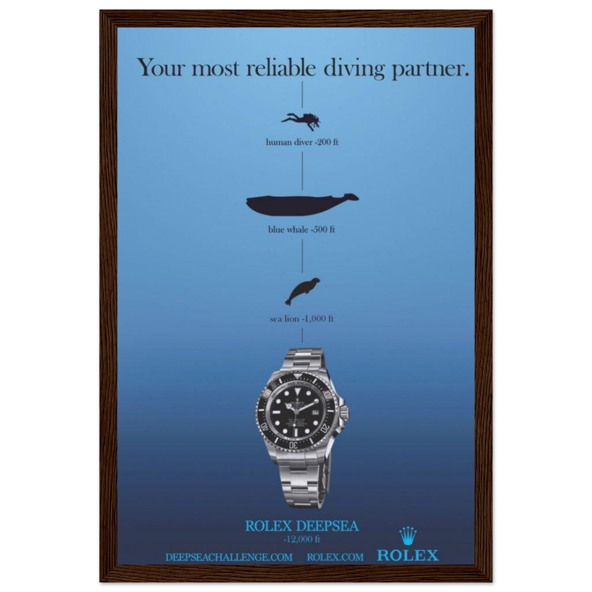 88ffdd46-6d27-451e-af96-1de79bde2132