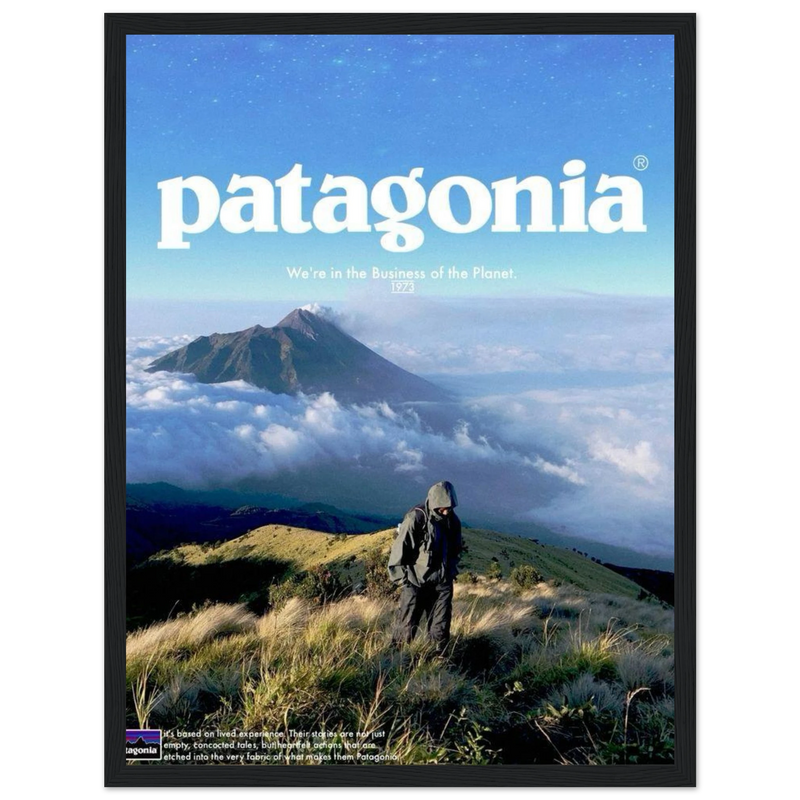 Patagonia We're in the Business of the Planet Vintage Poster Ad