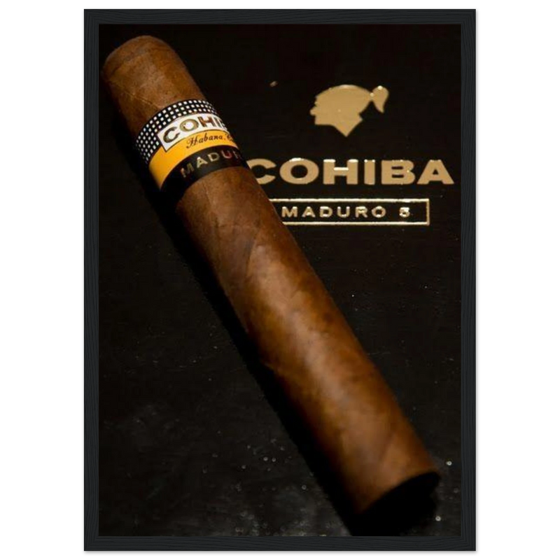 Cohiba Maduro 5 Vintage Cigar Poster