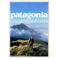 Patagonia We're in the Business of the Planet Vintage Poster Ad
