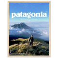 Patagonia We're in the Business of the Planet Vintage Poster Ad
