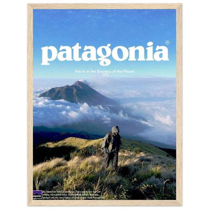 Patagonia We're in the Business of the Planet Vintage Poster Ad