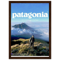 Patagonia We're in the Business of the Planet Vintage Poster Ad