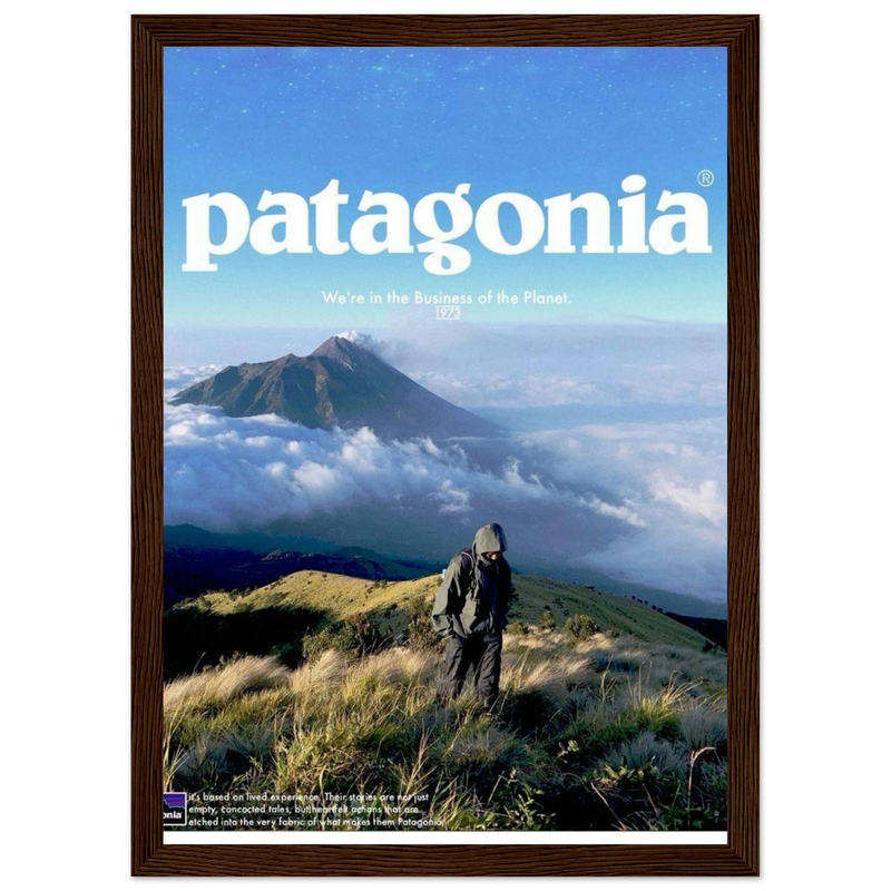 Patagonia We're in the Business of the Planet Vintage Poster Ad