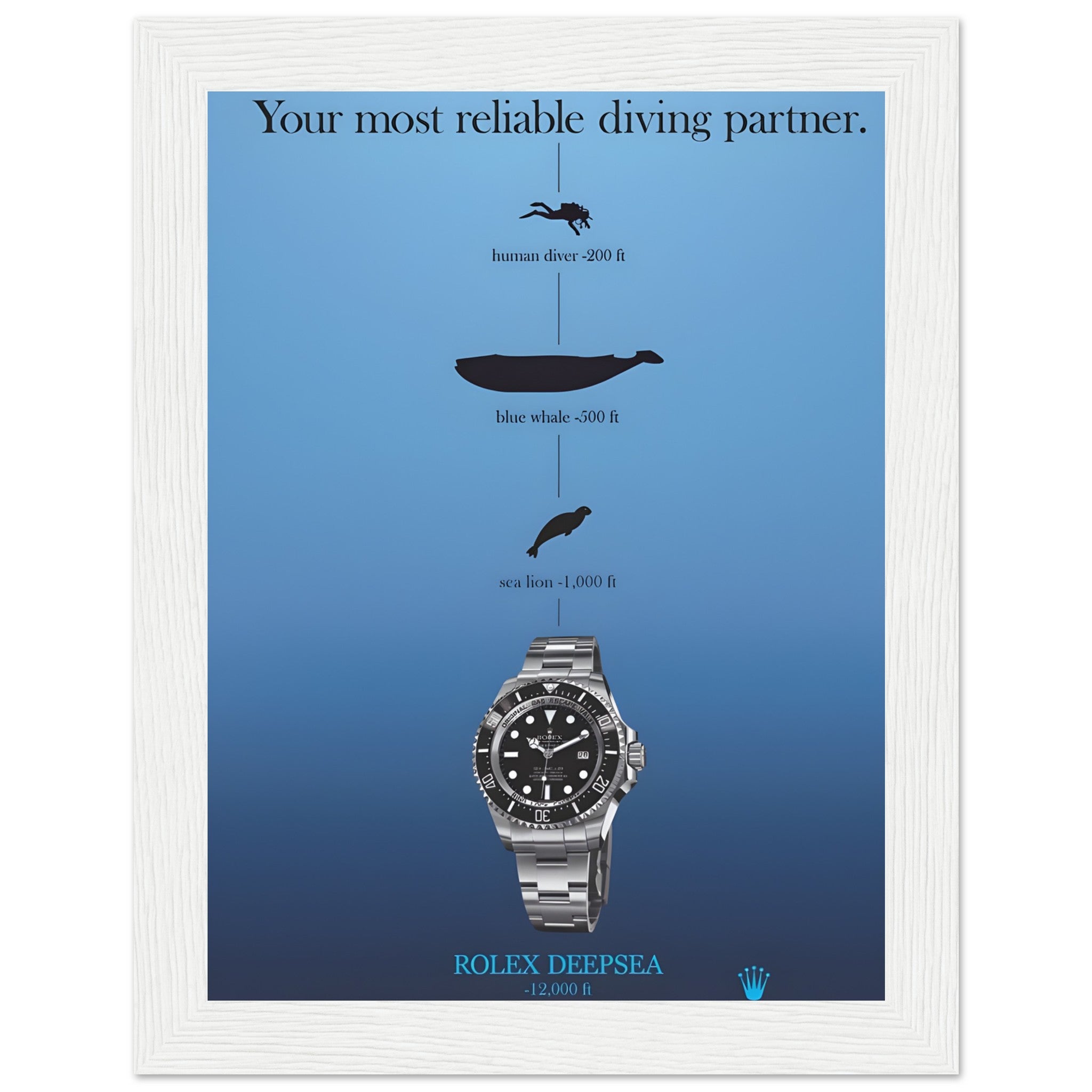 a5536859-cb1f-48ae-aca3-12e258d536ba